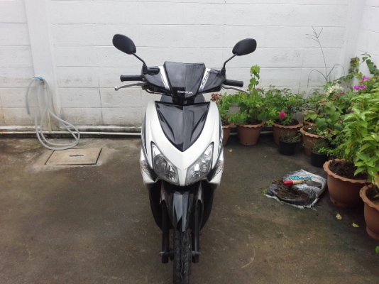 ขายคลิกสีขาวดำ