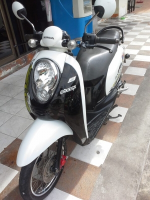 Scoopy i สีขาว ดำ ลาย Active Boy รถสวยๆ ขับดีมาก ประหยัดน้ำมัน Scoopy i สีขาว ดำ ลาย Active Boy รถสวยๆ ขับดีมาก ประหยัดน้ำมัน