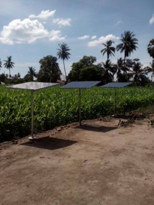 ขายโซล่าเซลล 50โวล 110 วัตร์ แผ่นละ1900บาท(แผ่นมือสองนำเข้าญี่ปุ่น) ขายโซล่าเซลล 50โวล 110 วัตร์ แผ่นละ1900บาท(แผ่นมือสองนำเข้าญี่ปุ่น)