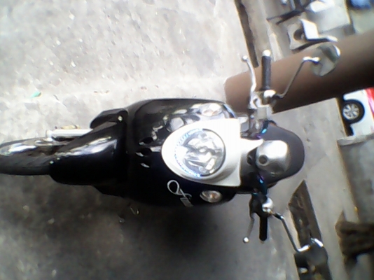 fino ปี 49 fino ปี 49