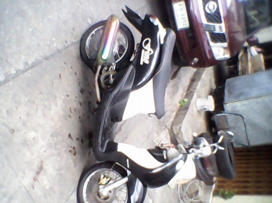 fino ปี 49 fino ปี 49