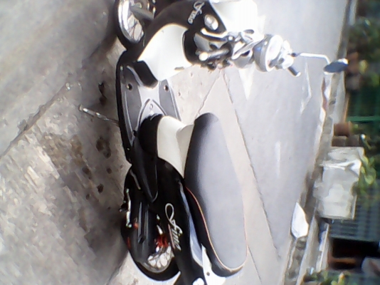 fino ปี 49 fino ปี 49