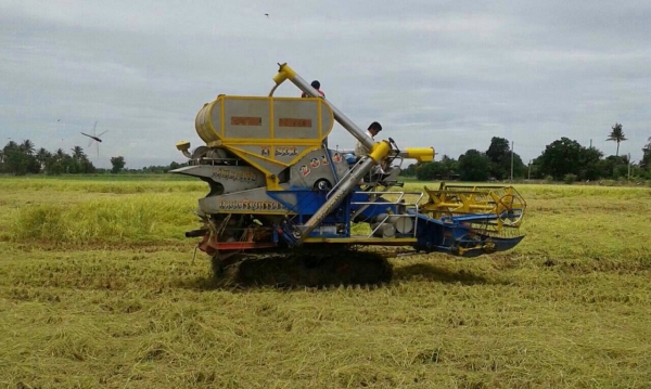 ไทยเจริญการช่าง ไทยเจริญการช่าง