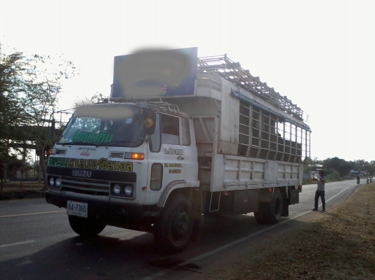 ขาย6ล้อใหญ่ อีซูซู J 170 แรง6BG1 ยาว6.5 เมตร เครื่องดี แชชซ๊สวยยสภาพพร้อมใช้งาน ยาง900R20 สภาพพร้อมใช้งาน พร้อมหลังคา ขาย6ล้อใหญ่ อีซูซู J 170 แรง6BG1 ยาว6.5 เมตร เครื่องดี แชชซ๊สวยยสภาพพร้อมใช้งาน ยาง900R20 สภาพพร้อมใช้งาน พร้อมหลังคา