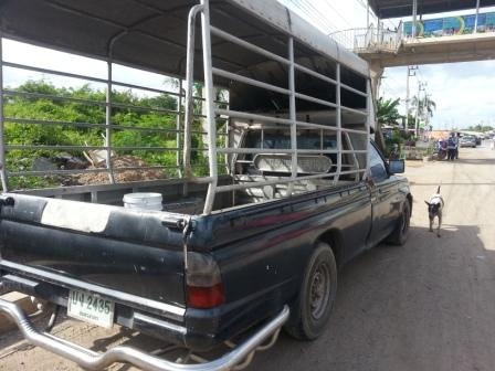 ขายสตาร์ด้ากระบะเลส