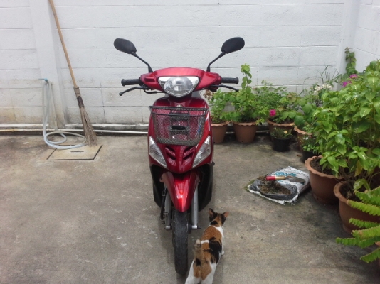 ขายมีโอตัวเก่าค่ะ