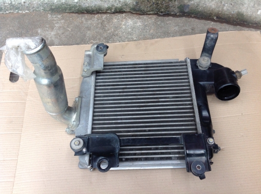 จมูกอินเตอร์วีโก้. อินเตอร์วีโก้