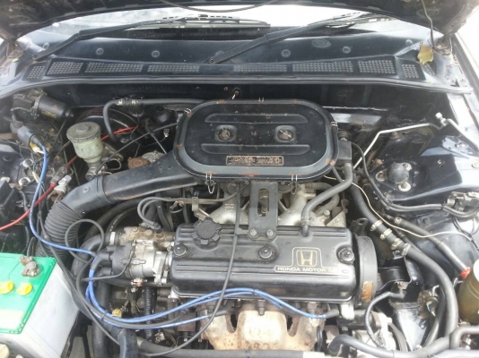 แอ็คคอด ไฟป๊อป มูนรูฟ ตัวนอก แอ็คคอด ไฟป๊อป มูนรูฟ ตัวนอก