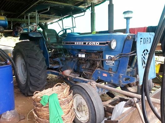 ขายรถไถ FORD T3 เครื่องดี ใช้งานได้ทุกระบบ อุปกรณ์ดันหน้า ผานหลัง สภาพสวยพร้อมใช้งาน สนใจโทร 090-8588220คุณนะ ID:narong498 หรือ www.truck.in.th/498 ขายรถไถ FORD T3 เครื่องดี ใช้งานได้ทุกระบบ อุปกรณ์ดันหน้า ผานหลัง สภาพสวยพร้อมใช้งาน สนใจโทร 090-8588220คุณนะ ID:narong498 หรือ www.truck.in.th/498