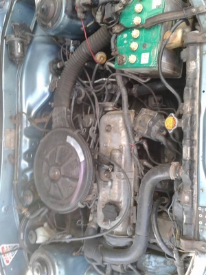 โคลูร่าสวยๆๆ โคลูร่าสวยๆๆ