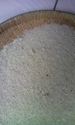 รับซื้อ ปลายข้าว,ข้าวเสี่อม,ข้าวดีดเครื่อง,ข้าวเหลือง รับซื้อ ปลายข้าว,ข้าวเสี่อม,ข้าวดีดเครื่อง,ข้าวเหลือง