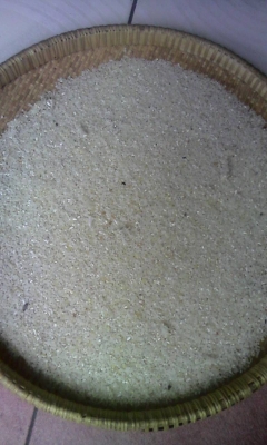 รับซื้อ ปลายข้าว,ข้าวเสี่อม,ข้าวดีดเครื่อง,ข้าวเหลือง รับซื้อ ปลายข้าว,ข้าวเสี่อม,ข้าวดีดเครื่อง,ข้าวเหลือง