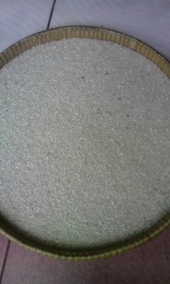 รับซื้อ ปลายข้าว,ข้าวเสี่อม,ข้าวดีดเครื่อง,ข้าวเหลือง รับซื้อ ปลายข้าว,ข้าวเสี่อม,ข้าวดีดเครื่อง,ข้าวเหลือง