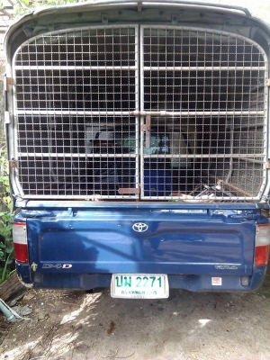 รถกระบะตอนเดี่ยว toyota รถกระบะตอนเดี่ยว toyota