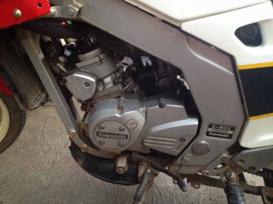 ขายserpico ราคา10500