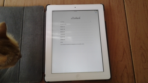 ขาย   ไอแแพด2  เครืองติดล๊อค  16กิ๊ก