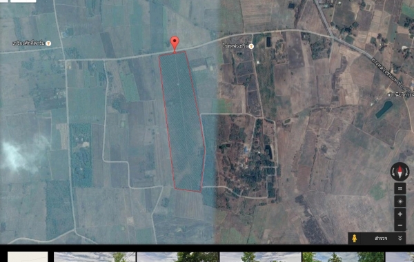 ขายที่ดินสวนปาล์ม 91ไร่ อ.หันคา จ.ชัยนาท