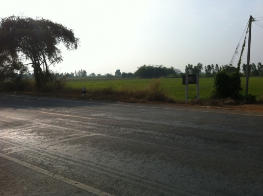 ขายที่ดินติดถนนใหญ่ หันคา-เนินขาม จ.ชัยนาท 98 ไ ร่กว่า