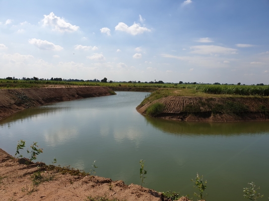 ขายที่ดินติดถนนใหญ่ หันคา-เนินขาม จ.ชัยนาท 98 ไ ร่กว่า ขายที่ดินติดถนนใหญ่ หันคา-เนินขาม จ.ชัยนาท 98 ไ ร่กว่า