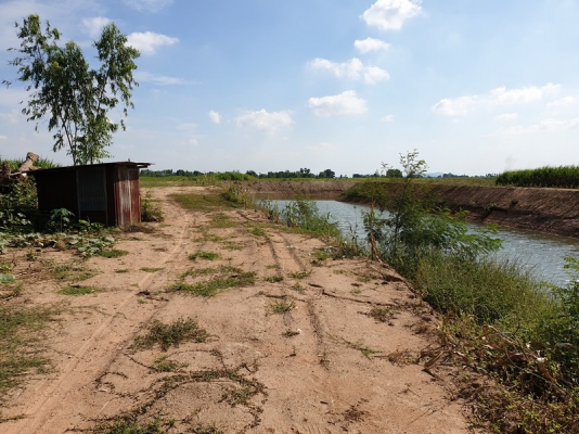 ขายที่ดินติดถนนใหญ่ หันคา-เนินขาม จ.ชัยนาท 98 ไ ร่กว่า ขายที่ดินติดถนนใหญ่ หันคา-เนินขาม จ.ชัยนาท 98 ไ ร่กว่า