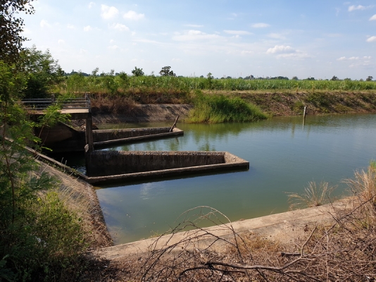 ขายที่ดินติดถนนใหญ่ หันคา-เนินขาม จ.ชัยนาท 98 ไ ร่กว่า ขายที่ดินติดถนนใหญ่ หันคา-เนินขาม จ.ชัยนาท 98 ไ ร่กว่า