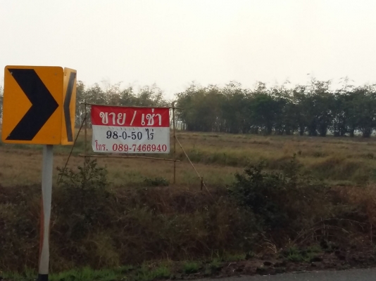 ขายที่ดินติดถนนใหญ่ หันคา-เนินขาม จ.ชัยนาท 98 ไ ร่กว่า ขายที่ดินติดถนนใหญ่ หันคา-เนินขาม จ.ชัยนาท 98 ไ ร่กว่า
