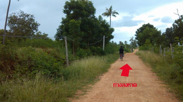 ขายที่ดิน 5 ไร่สวยๆ ห่างชายทะเลแค่ 250 เมตร