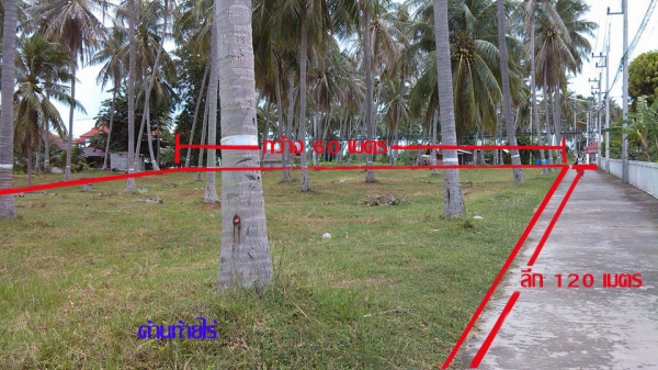 ขายที่ดิน 5 ไร่สวยๆ ห่างชายทะเลแค่ 250 เมตร