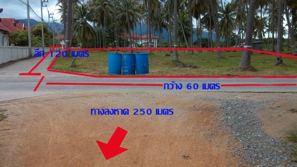 ขายที่ดิน 5 ไร่สวยๆ ห่างชายทะเลแค่ 250 เมตร