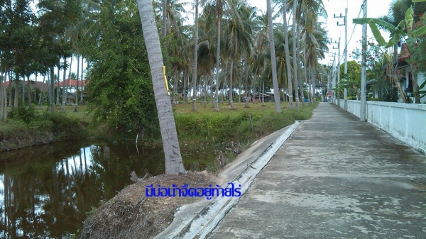 ขายที่ดิน 5 ไร่สวยๆ ห่างชายทะเลแค่ 250 เมตร