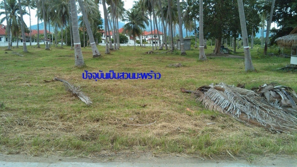 ขายที่ดิน 5 ไร่สวยๆ ห่างชายทะเลแค่ 250 เมตร