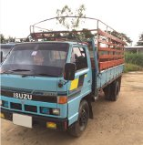 ขาย ISUZU NKR