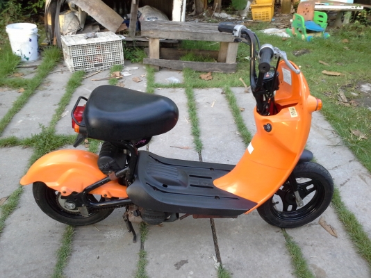 โชอิโนริ สต๊าทมือ