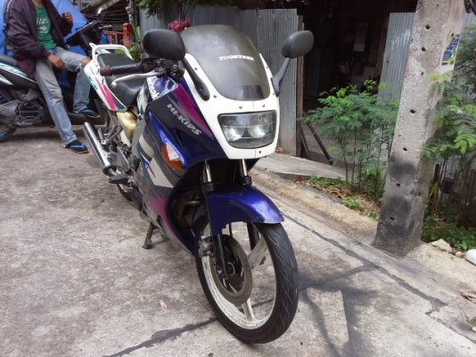 ขายเซอร์ปีโก้ ขายเซอร์ปีโก้