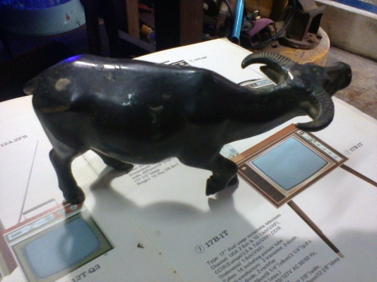 ควายทองเหลืองตันทั้งตัว