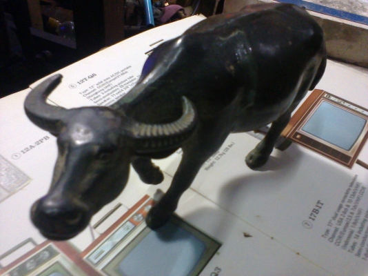 ควายทองเหลืองตันทั้งตัว