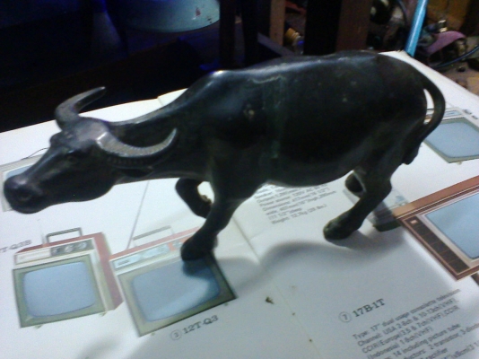 ควายทองเหลืองตันทั้งตัว