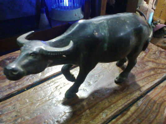 ควายทองเหลืองตันทั้งตัว