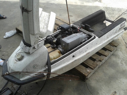 เจสกีแบบยืน