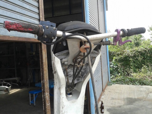 เจสกีแบบยืน