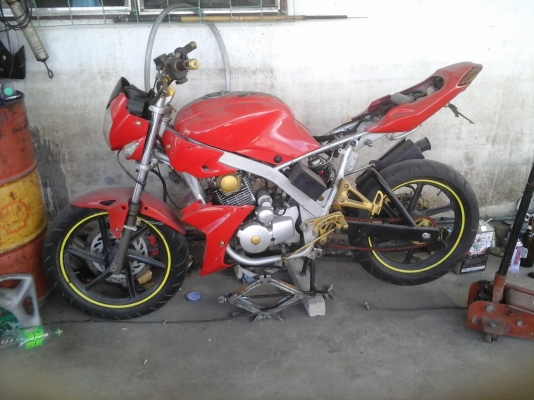 ขายไทเกอร์