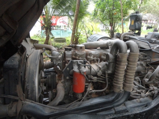 ขายดาวน์ FUSO M6