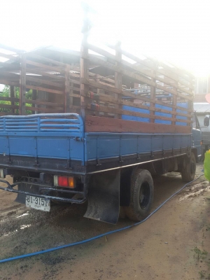 รถ6ล้อNPR  115ห้างแท้พร้อมลุยงานครับท้ายเอฟครับ..คอกไม้สภาพดีครับ