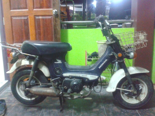 ขายชาลี สภาพเดิม