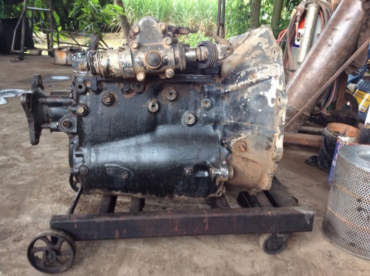 ขายเกียร์ ho