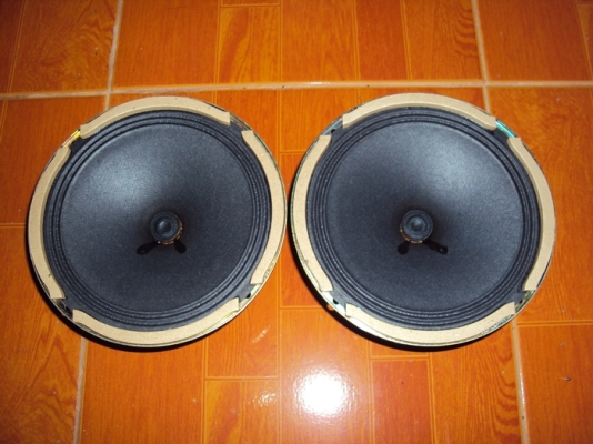 ขายดอกลำโพงรุ่นเก่าหลายรายการ