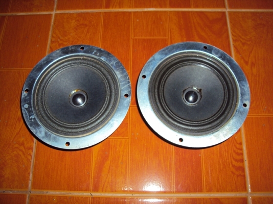 ขายดอกลำโพงรุ่นเก่าหลายรายการ