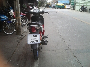 เวฟ110iปี255