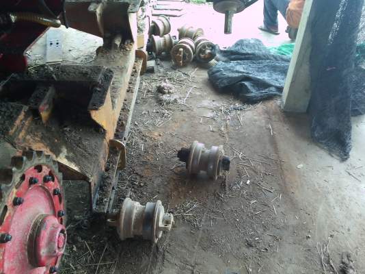 ขายลูกรันเลอร์D3มีประมาณ8ลูก