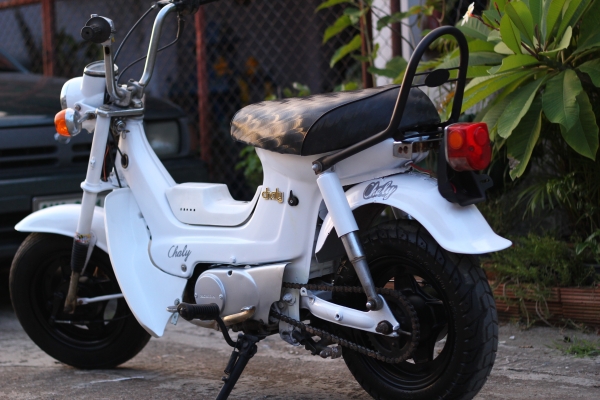 Honda ชาลี
